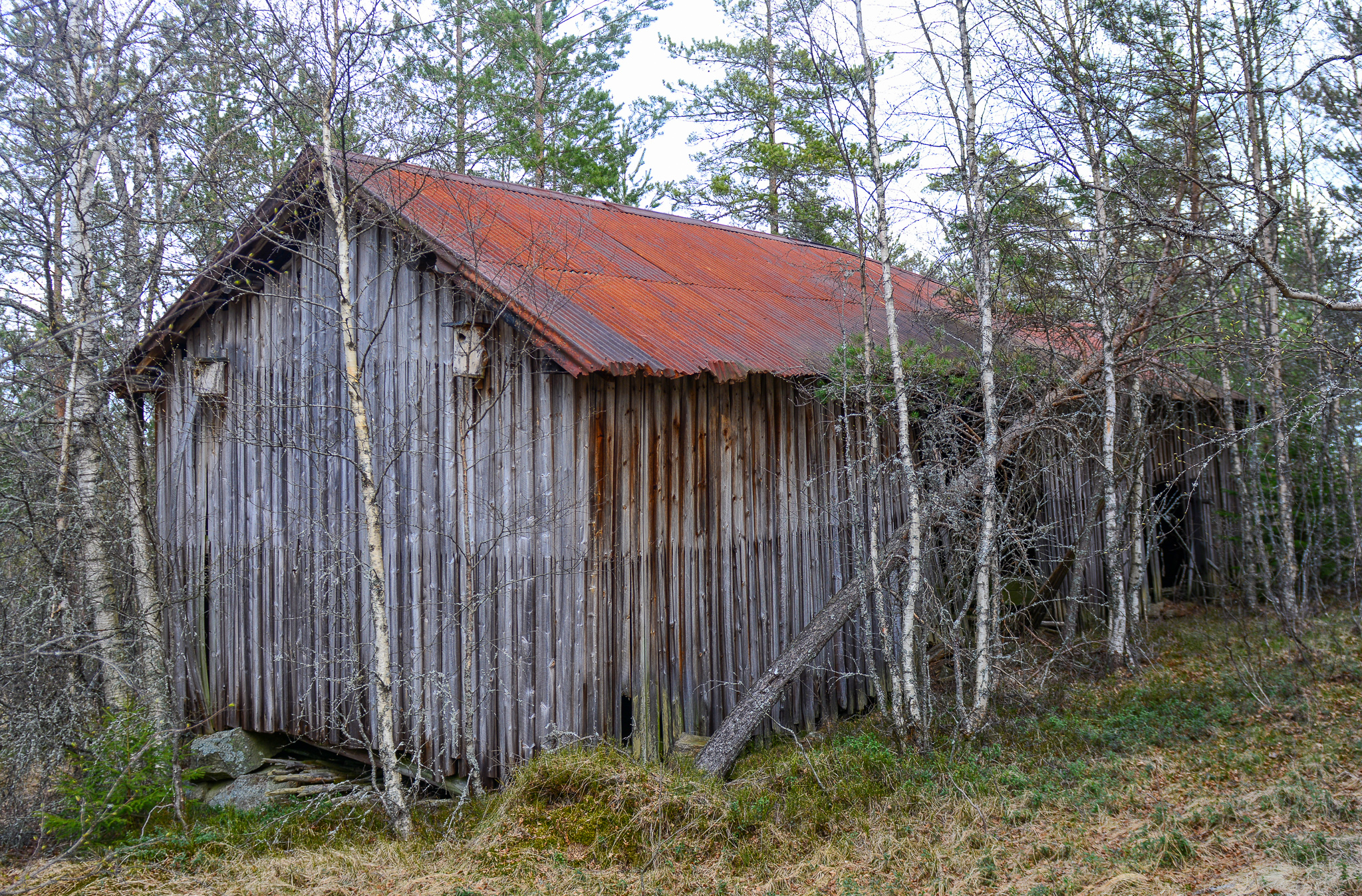 I dag (2021) står bare eit uthus igjen på Ommunds plass. Foto: Geir Daasvatn