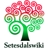 logo_Setedalswiki.png