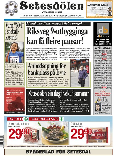 Fil:Setesdølen4417.jpg