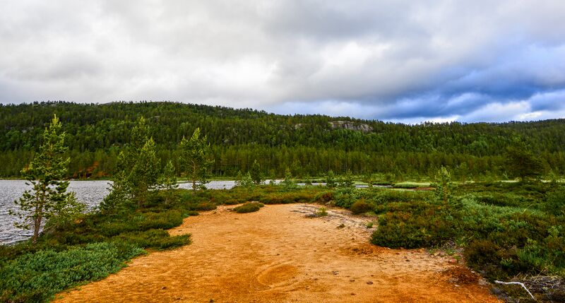 Fil:Øyan Jordalsvatn 250617-2.jpg