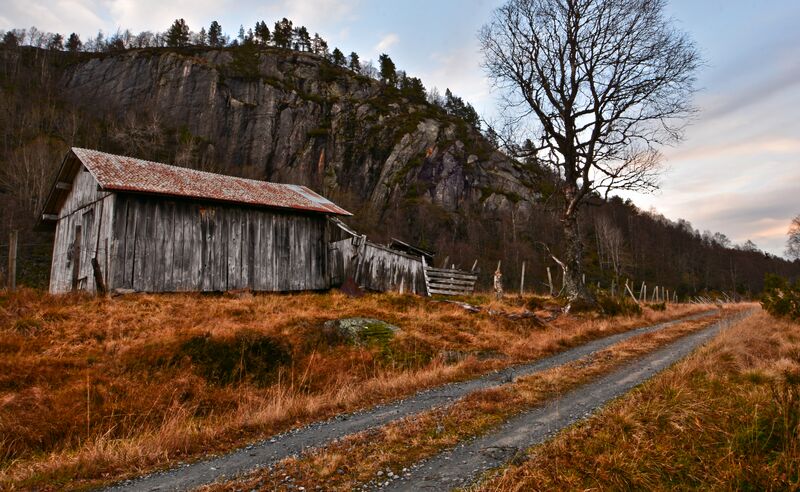 Fil:Austegardvegen Espelid 111115 (2).jpg