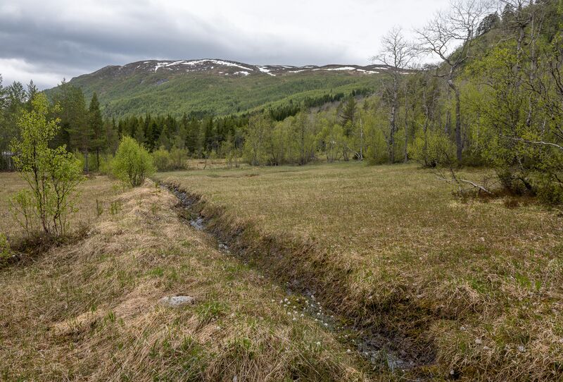 Fil:Nybu Byklestøylane 230525 (5).jpg