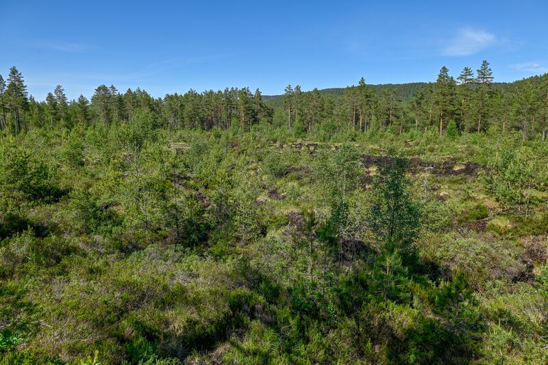 Fil:Takemyr Mjåland Åseral 020624-3.jpg
