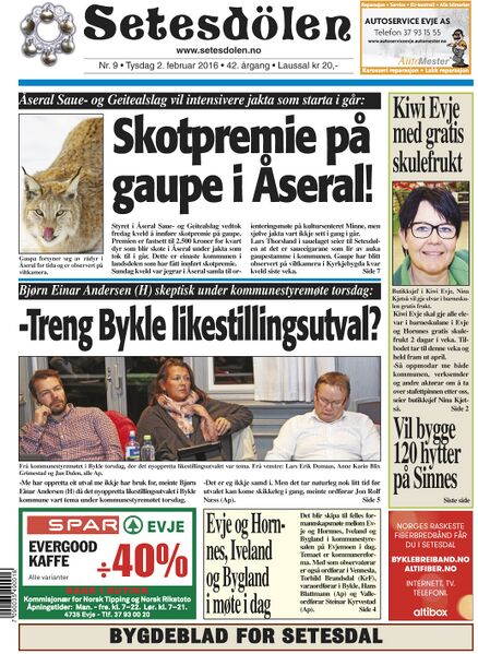Fil:Setesdølen916.jpg