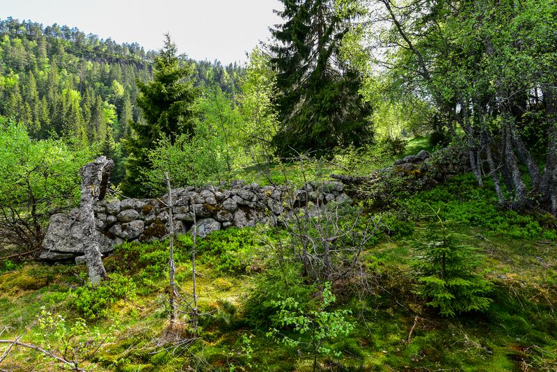 Fil:Øvre Skjeggedal 190518-3.jpg