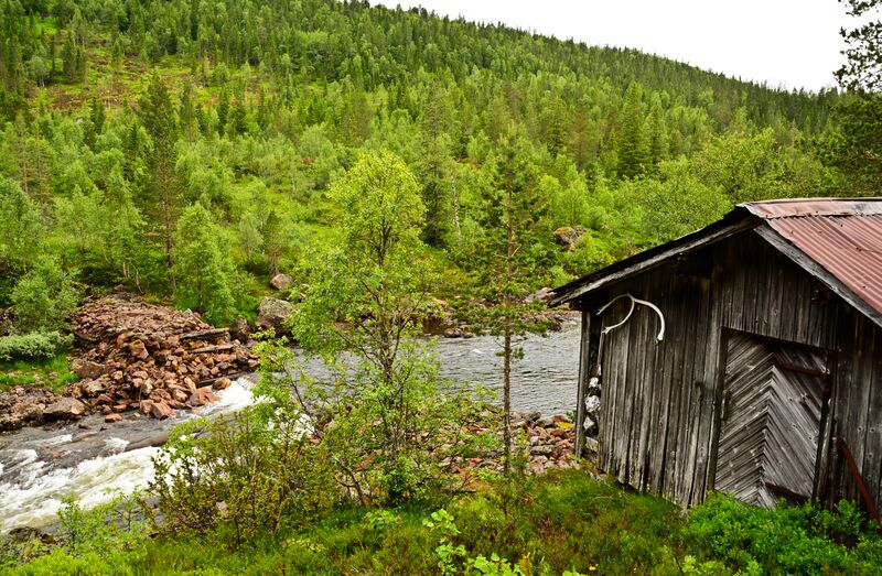 Fil:Topsæstemmen Bygland 290617.jpg