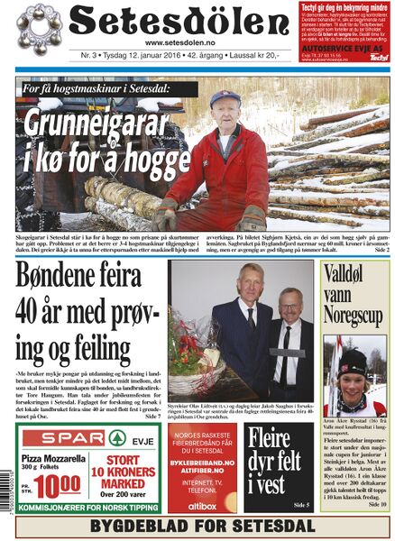 Fil:Setesdølen316.jpg