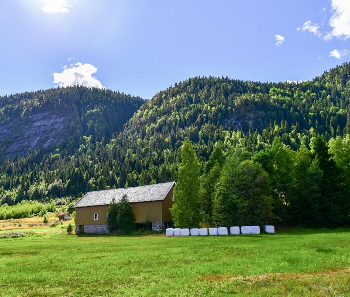 Fil:Skomedal-Bronefjell 280722.jpg