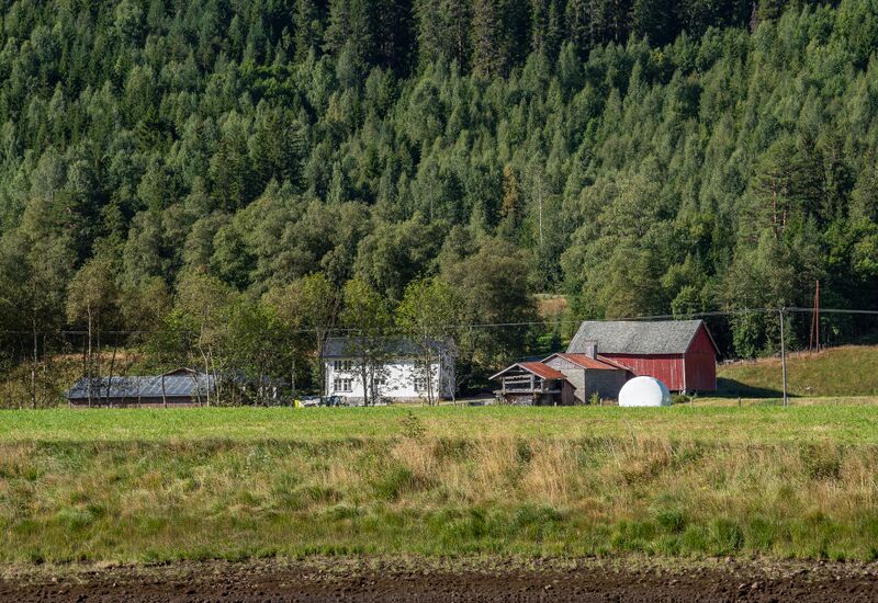 Fil:Krokå Langeid 240825.jpg