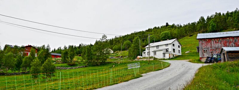 Fil:Ørnefjell Bykle 250616-2.jpg