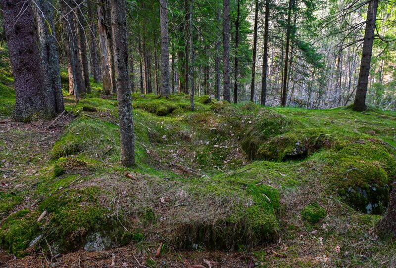 Fil:Bjordalen Frivoll 150523.jpg