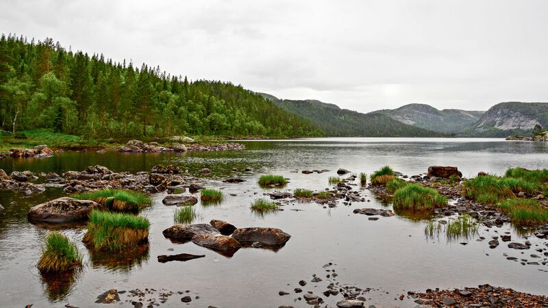 Fil:Topsæ 290617-2.jpg