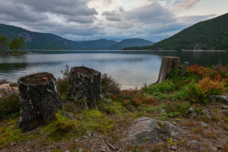 Fil:Byglandsfjorden Grendi 300823-2.jpg