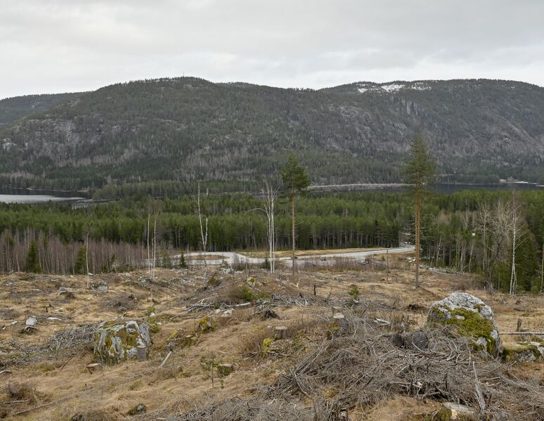 Fil:Lidi Skomedal Bygland 280326.jpg