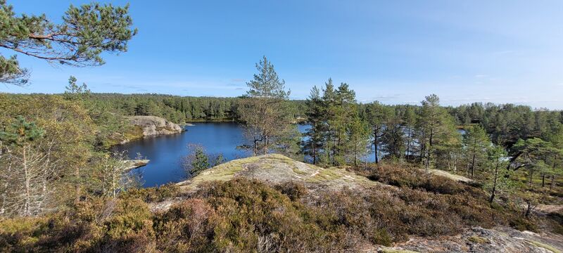 Fil:Pegmatitt rund Ljosevatn.jpg