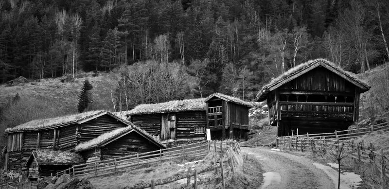 Fil:Rygnestadtunet 011216.jpg