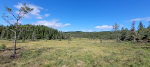 Sommer på Myrstålmyra mens buaen er så vidt synlig i bakgrunnen