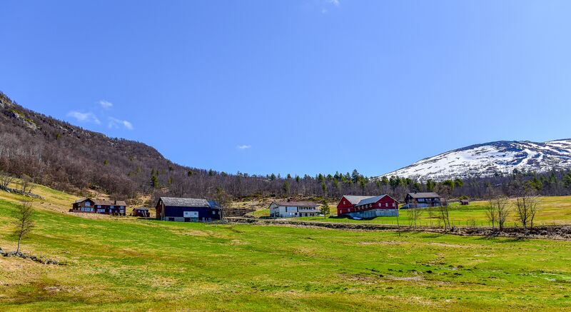Fil:Glidbjørg Bykle 190521-2-2.jpg