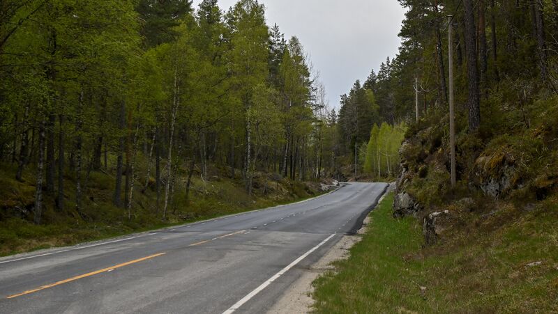 Fil:Grasdalen Evje 120526.jpg