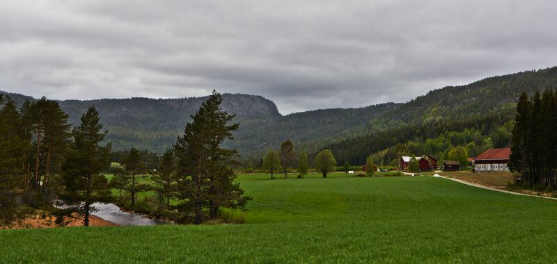 Fil:Nedre Skjeggedal 210516.jpg