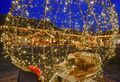 Miniatyrbilete av versjonen frå 5. desember 2024 kl. 21:29