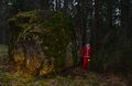 Miniatyrbilete av versjonen frå 24. desember 2024 kl. 08:01