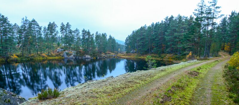 Fil:Lindåna Tjønnbakkane 041014-2.jpg