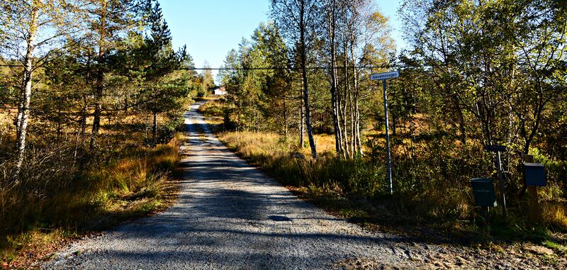 Fil:Juvannsvegen Hornnes 041015.JPG