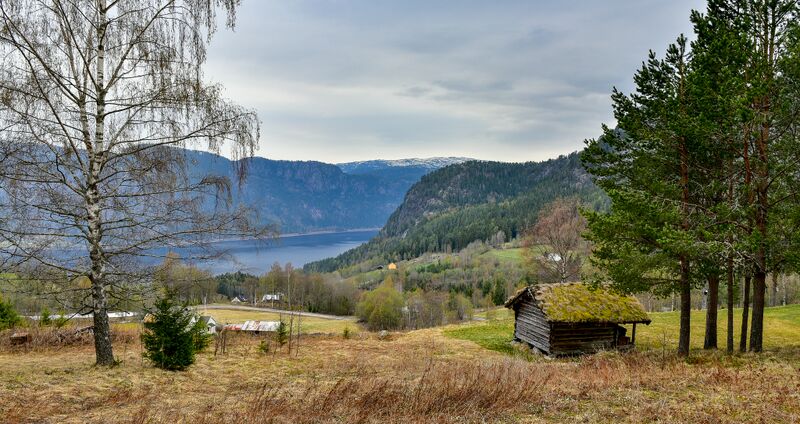 Fil:Gausi Åraksbø 240419 (2).jpg