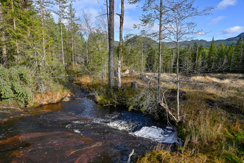 Fil:Lisleå Røysland Valle 261025.jpg