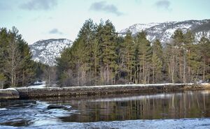 Flotingsmur i Syrtveitsfossen i Evje og Hornnes. Foto.