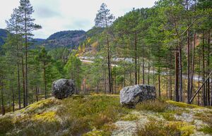 Hågås med utsyn mot nord-vest 11. oktober 2024. Foto.
