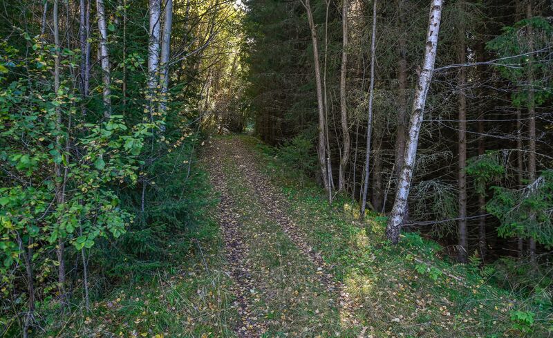 Fil:Fånekleivi Åraksbø 230925.jpg
