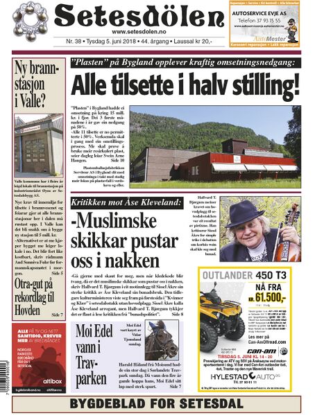 Fil:Setesdølen3818.jpg