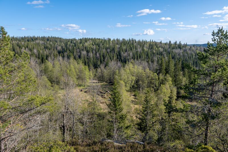 Fil:Hova Klepsland Evje 040525-2.jpg