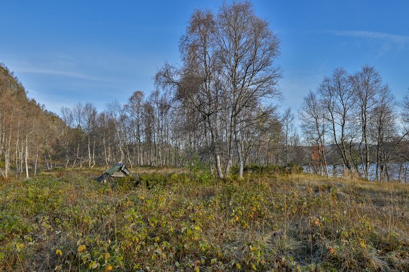 Fil:Roterjoet Hovden 270924 (3).jpg