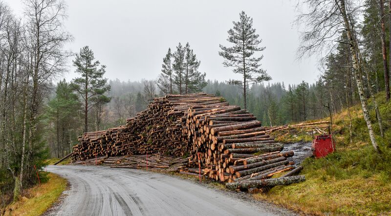 Fil:Kalland Hornnes 051125-2.jpg