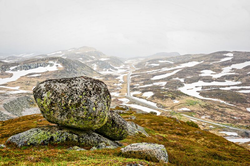 Fil:Suleskarvegen Roskreppfjorden 030617-2.jpg