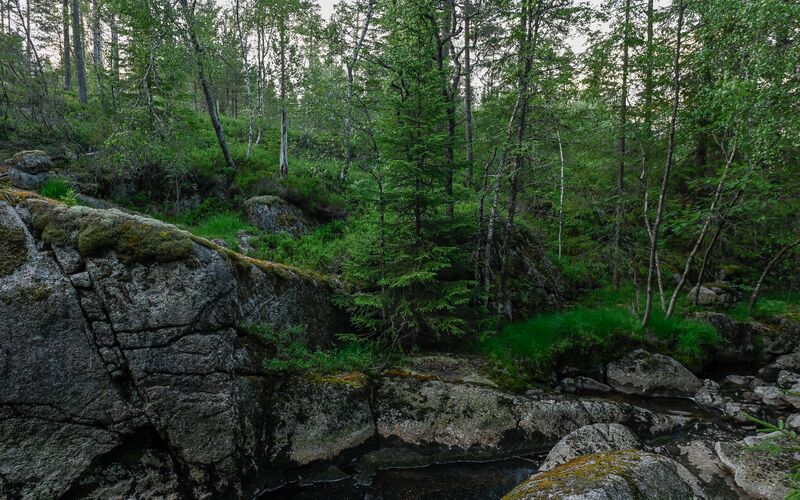 Fil:Småstebekken Haugland kvrnhustufter 290625.jpg