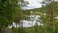 Miniatyrbilete av versjonen frå 8. januar 2026 kl. 09:17