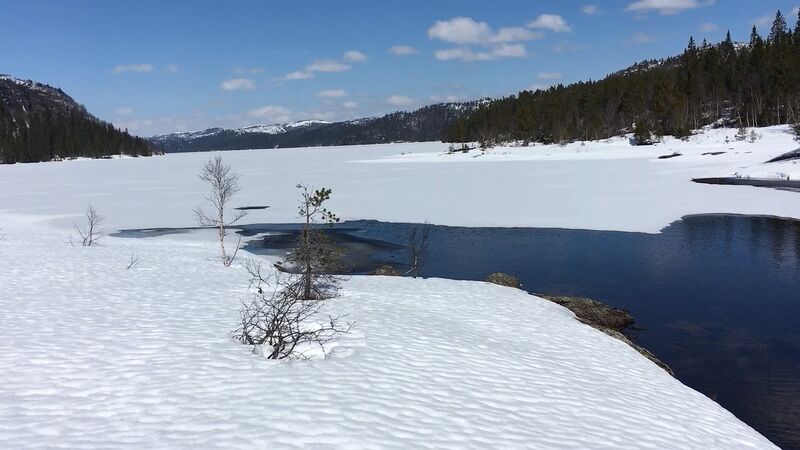 Fil:Grøssæ april 2019.jpg