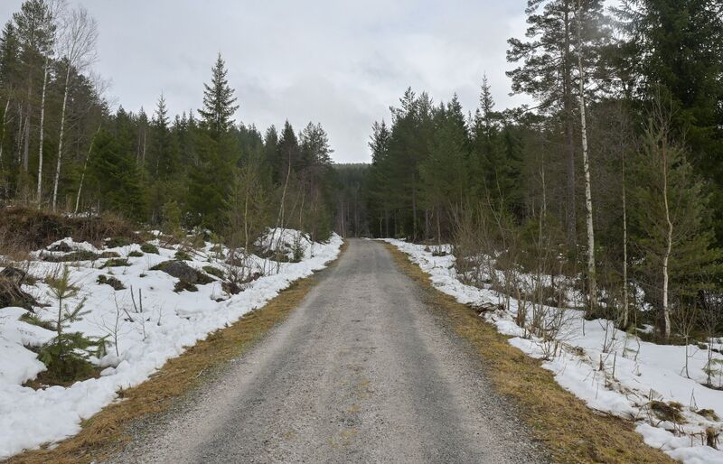 Fil:Damveien Grendi 140326.jpg