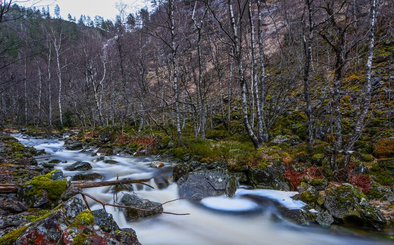 Fil:Sydalen Øvre Dåsvatn 301216-3.jpg