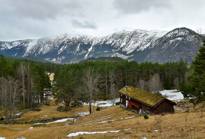 Fil:Åreholti Rygnestad Valle 260120-2.jpg