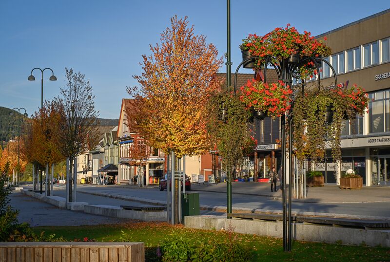 Fil:Evje sentrum 041024.jpg