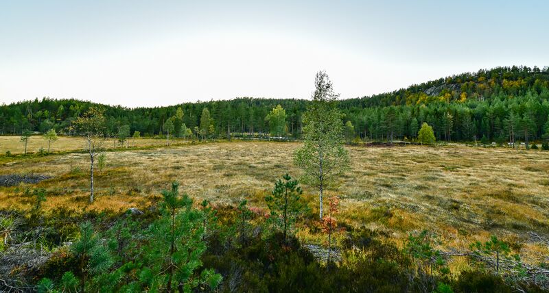 Fil:Myklandsdalen 280918-2.jpg