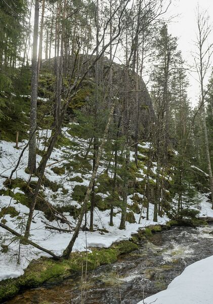 Fil:Husbakkfjellet Grendi 140326.jpg