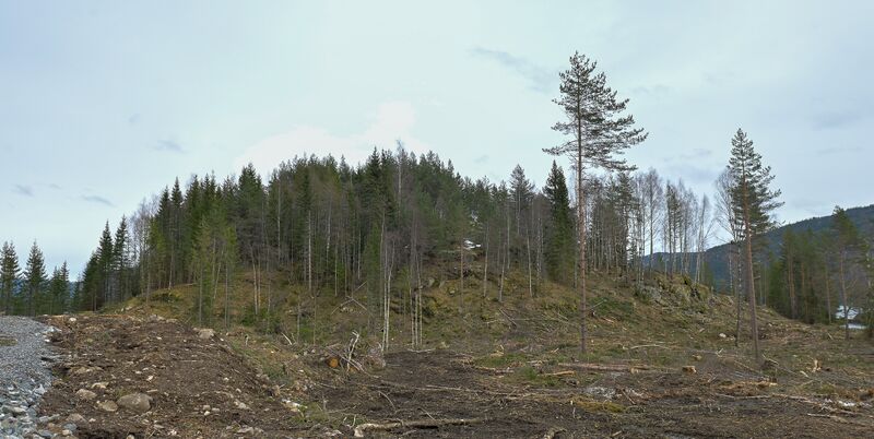 Fil:Eikjåknodden Bø 180424 (2).jpg