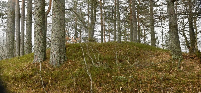 Fil:Kvinarhaugen Engesland 020426 (2).jpg