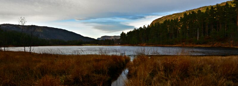 Fil:Hesttjørn Hornnes 011115.jpg